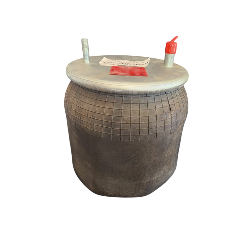 Pulmón de Suspensión 8810 1T15M4